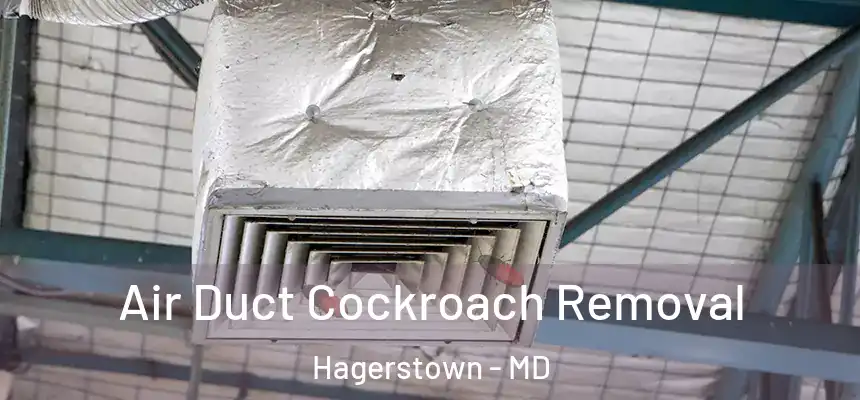  Air Duct Cockroach Removal Hagerstown - MD