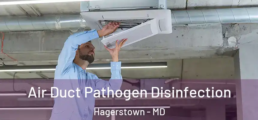 Air Duct Pathogen Disinfection Hagerstown - MD