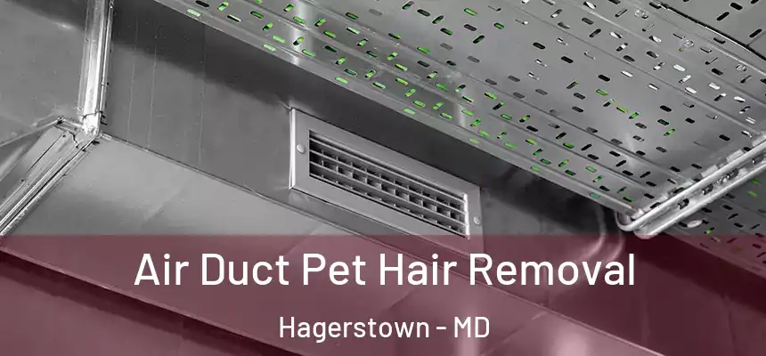  Air Duct Pet Hair Removal Hagerstown - MD