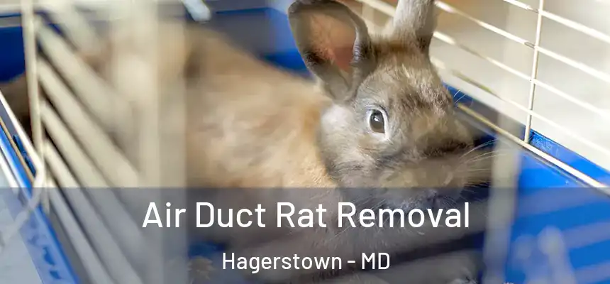 Air Duct Rat Removal Hagerstown - MD