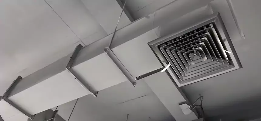 Our Pest Removal From Ducts Services in Hagerstown, MD