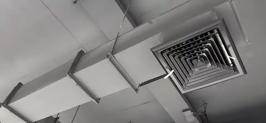 Our Rodent Droppings In Vents Services in Hagerstown, MD