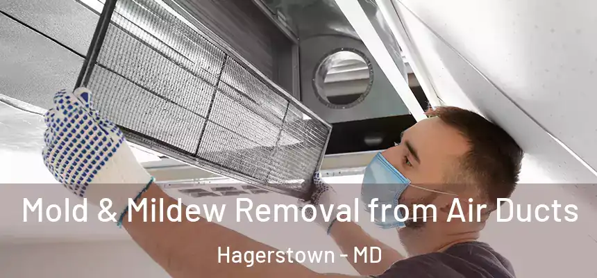 Mold & Mildew Removal from Air Ducts Hagerstown - MD