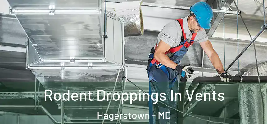  Rodent Droppings In Vents Hagerstown - MD
