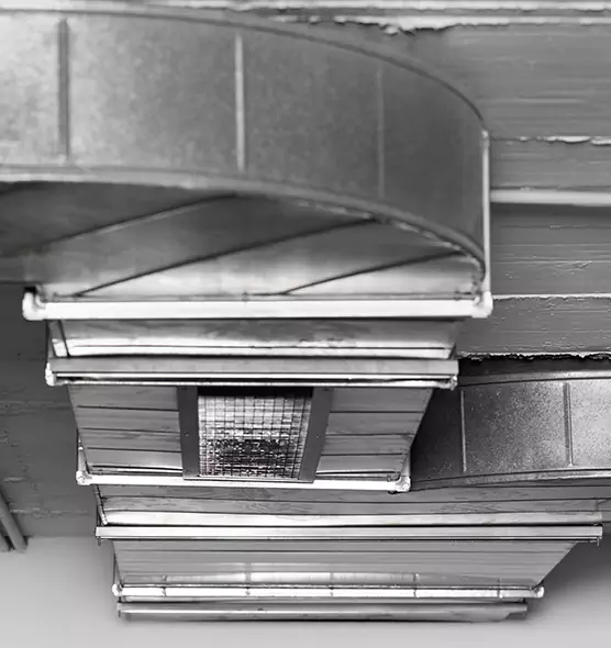 Professional Air Duct Pest Removal in Hagerstown, MD