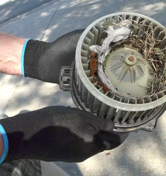 About Air Duct Rat Removal in Hagerstown, MD