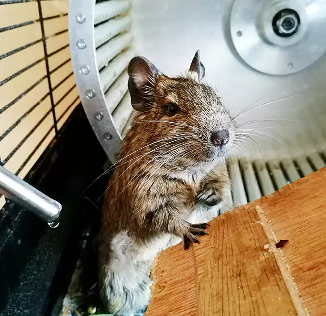 Why Homeowners & Businesses Trust Us Hagerstown, MD